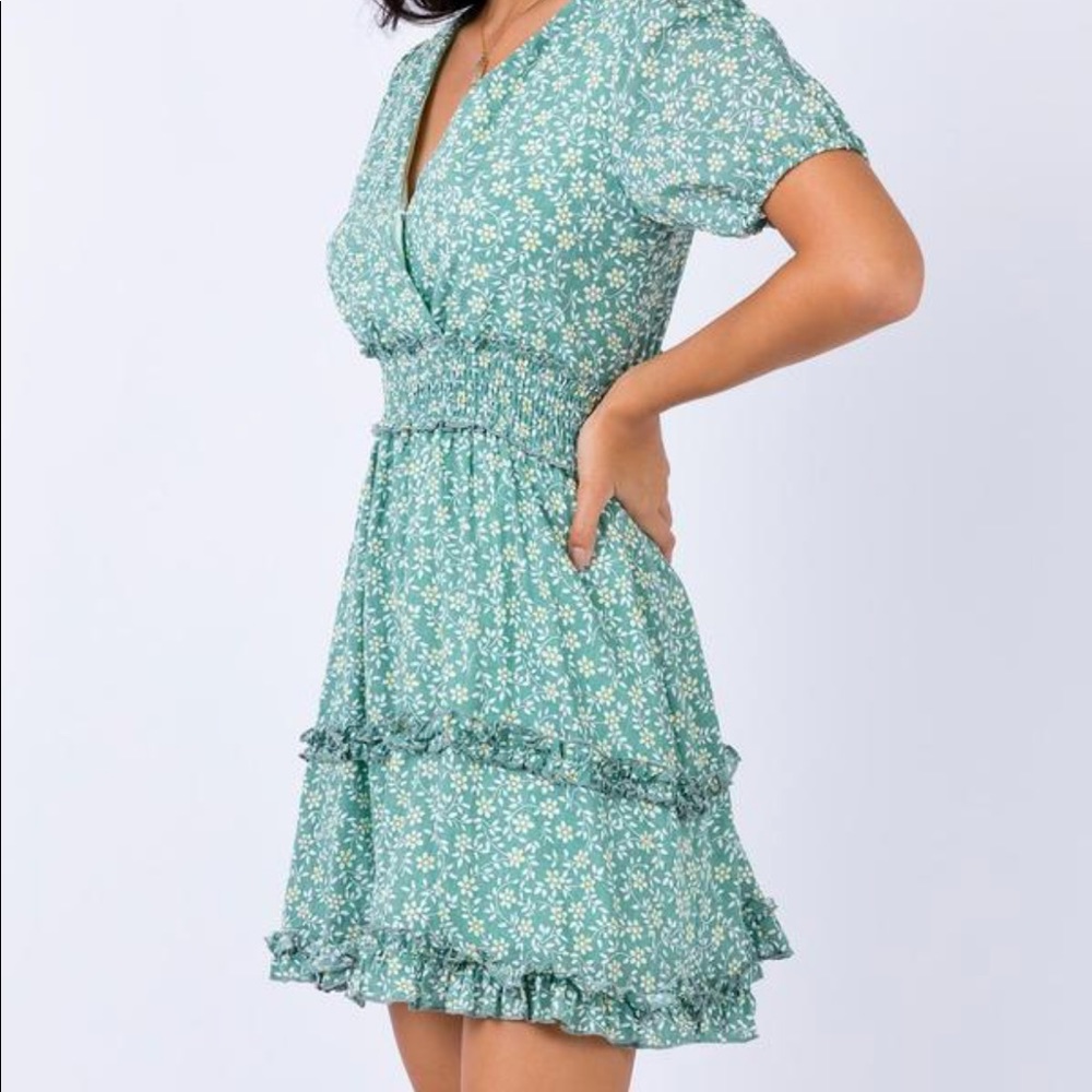 Princess Polly size 2 dress